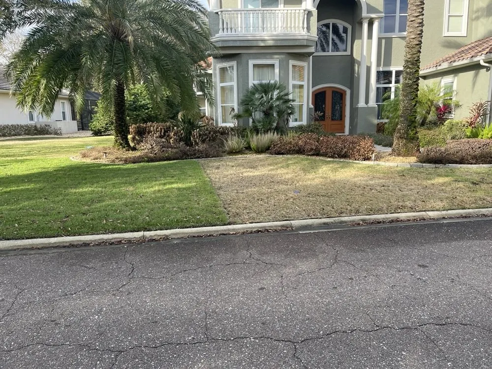 Expert outdoor landscaping in Bunnell, FL by VerdeGo Landscape