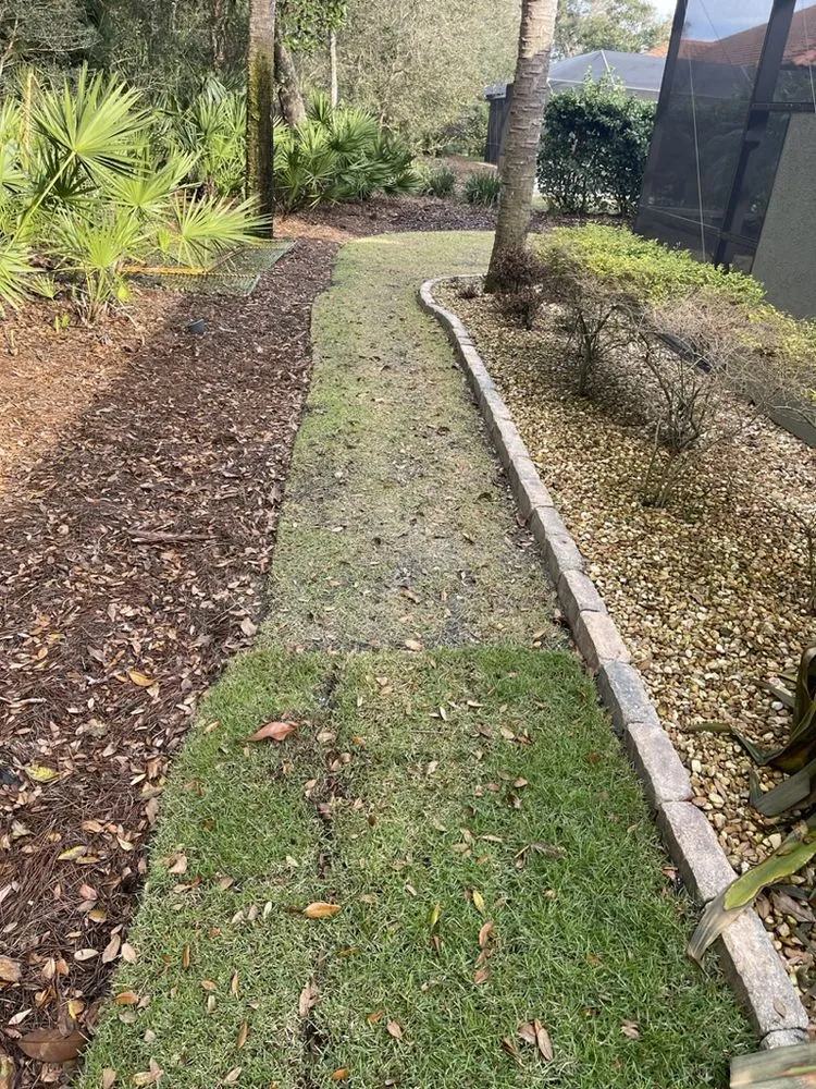 Professional landscaping services near you in Bunnell, FL by VerdeGo Landscape