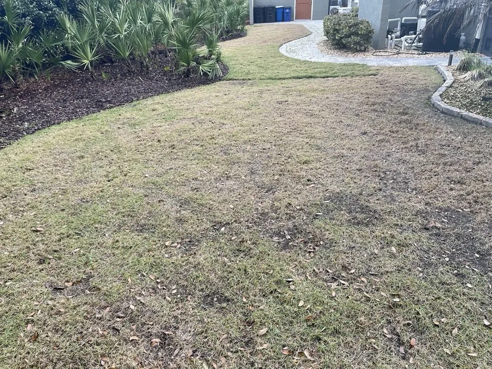 Affordable garden landscaping experts serving Bunnell, FL - VerdeGo Landscape