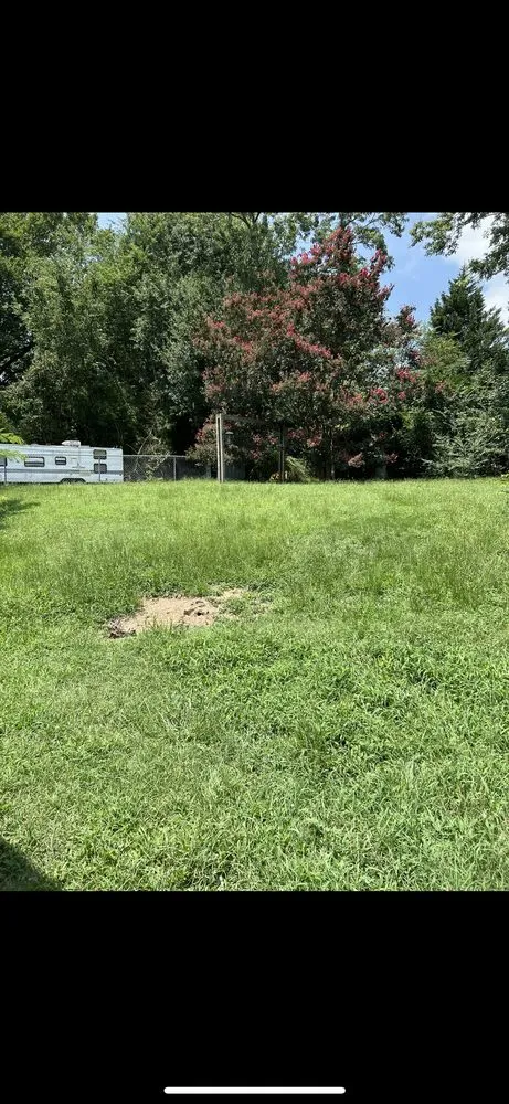 Expert landscaping services for beautiful yards across Alpharetta, GA - Verdeja Landscaping