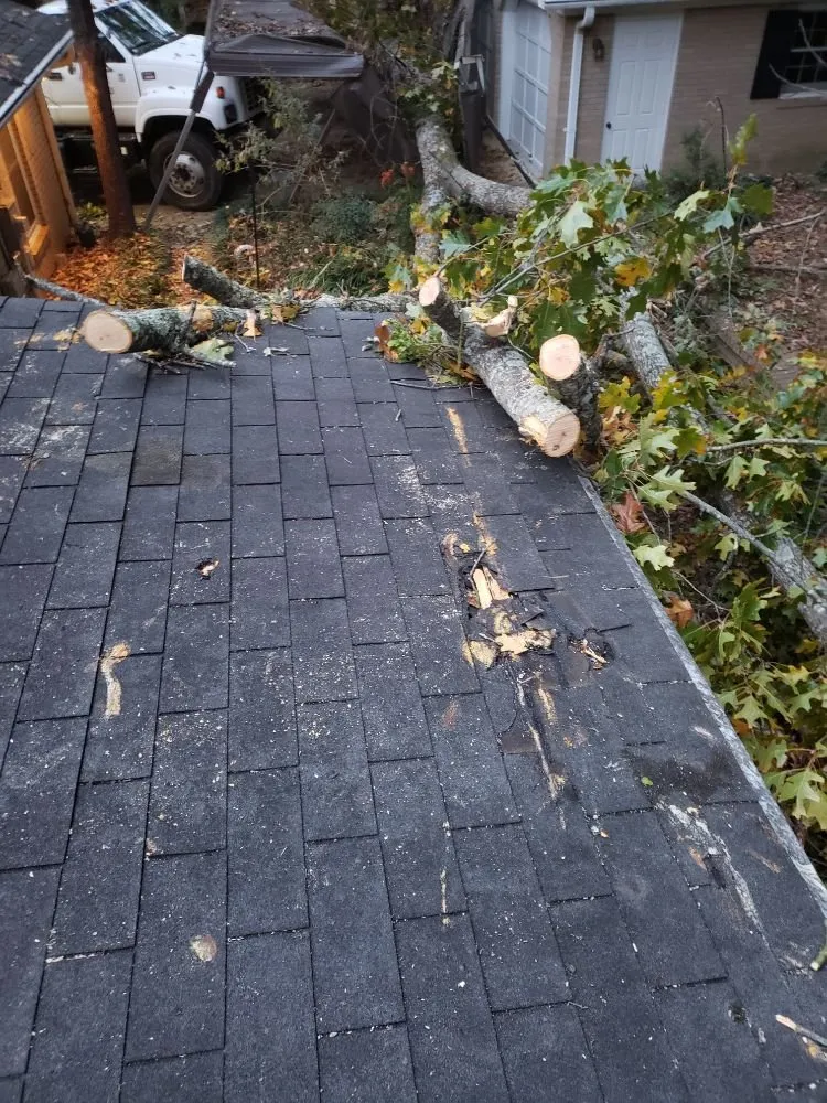 Expert outdoor landscaping for outdoor upgrades in Greenville, SC by Verdes