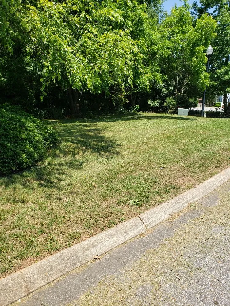 Local lawn care service in Greenville, SC - Verdes