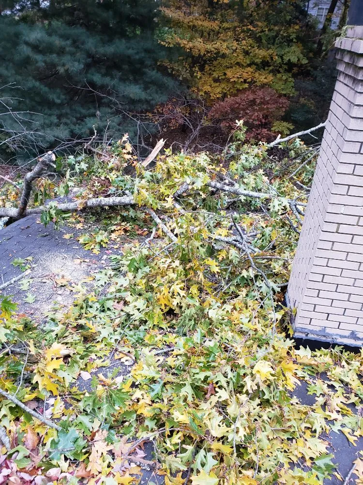 Reliable landscaping services in Greenville, SC by Verdes