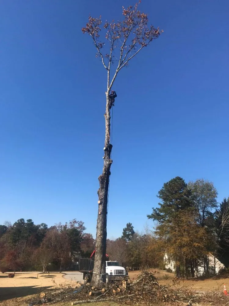 Top-rated outdoor landscaping near you in Greenville, SC by Verdes