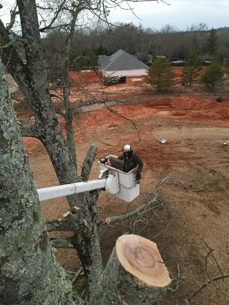 Affordable yard maintenance with custom design across Greenville, SC - Verdes