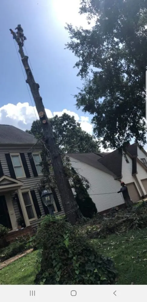 Trusted lawn mowing service for year-round maintenance in Greenville, SC by Verdes