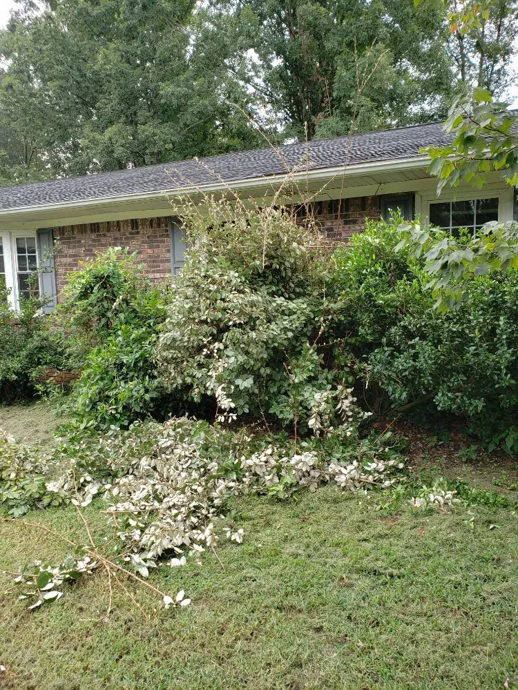 Top-rated landscape installation experts serving Greenville, SC - Verdes