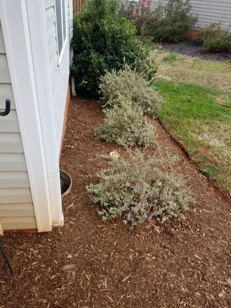 Top-rated yard maintenance with custom design in Greenville, SC by Verdes