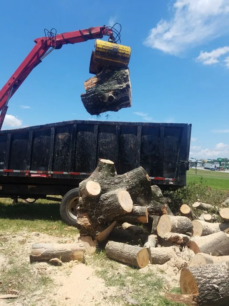 Trusted landscape installation in Greenville, SC - Verdes