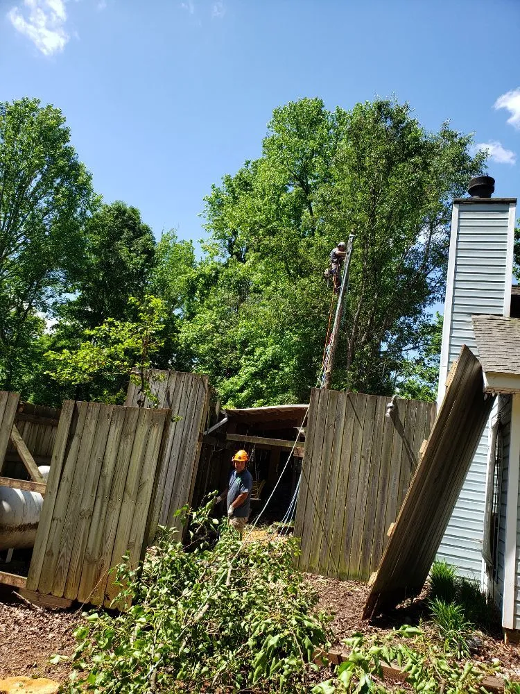 Top-rated lawn mowing service in Greenville, SC - Verdes