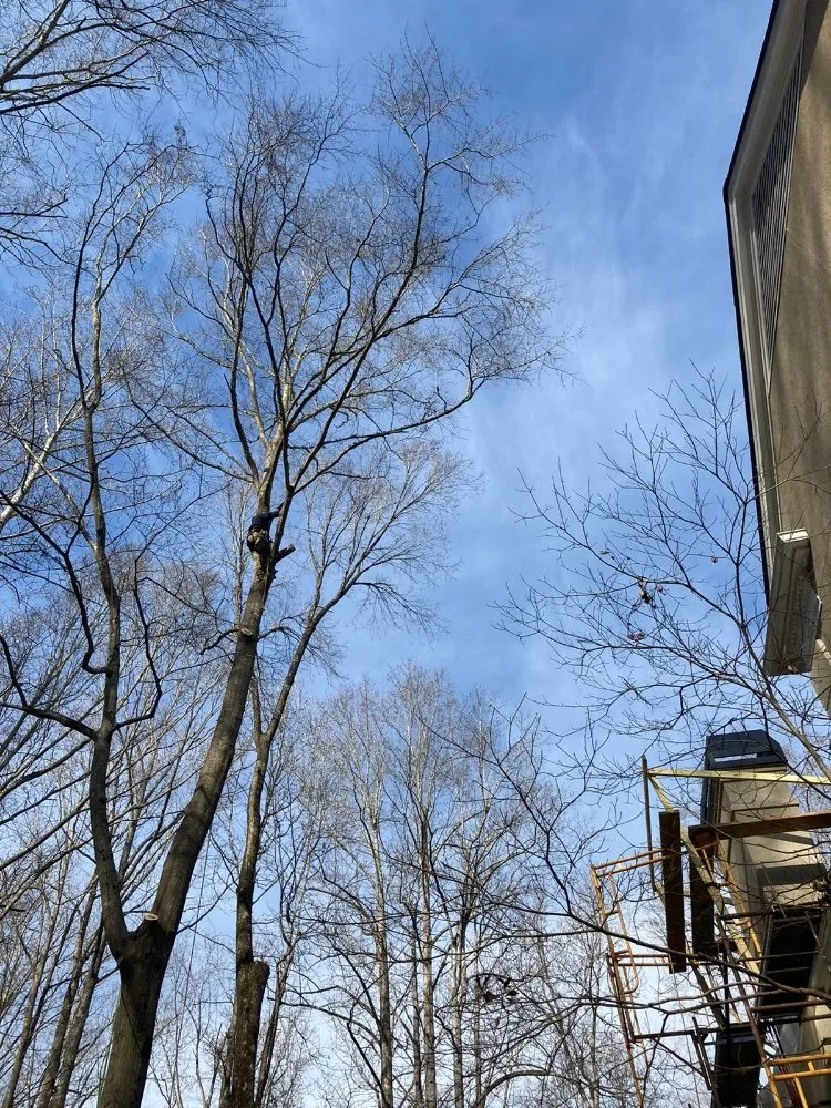 Custom garden landscaping for residential properties in Greenville, SC by Verdes