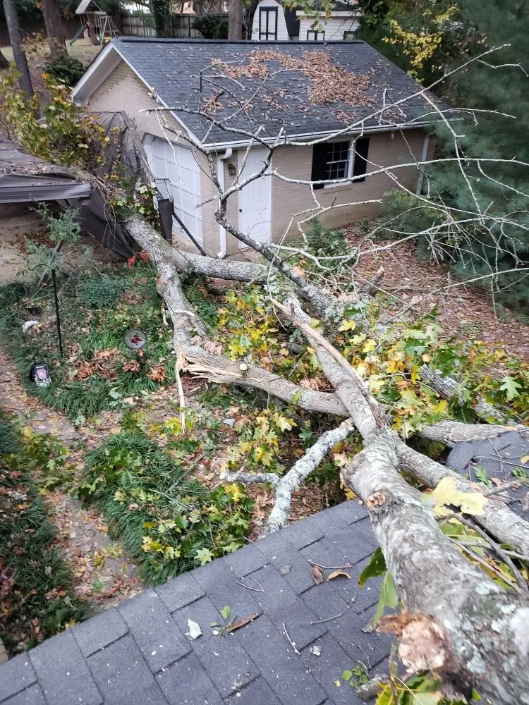 Reliable yard cleanup service for outdoor upgrades across Greenville, SC - Verdes