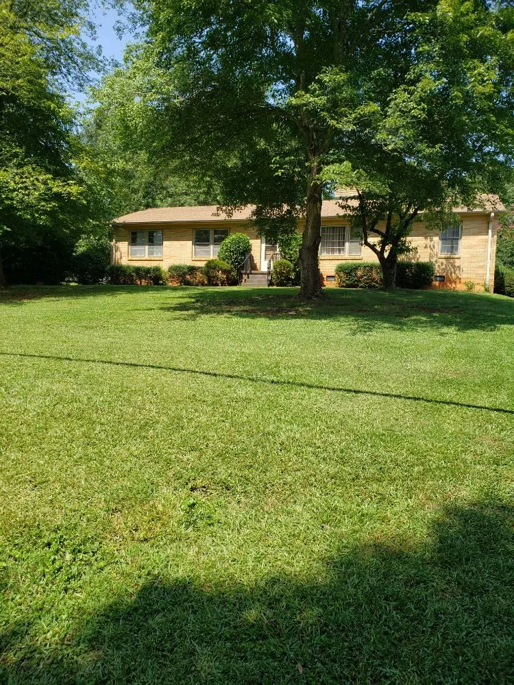 Professional yard cleanup service for residential properties in Greenville, SC by Verdes