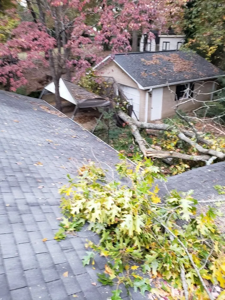 Top-rated landscaping services in Greenville, SC - Verdes