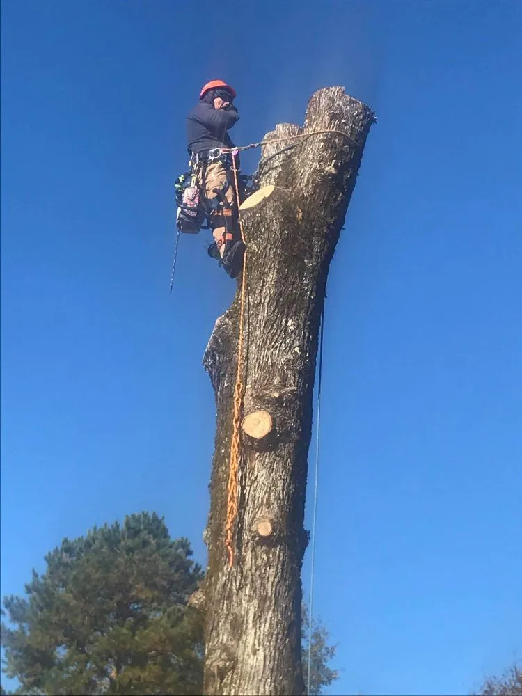 Trusted lawn care service in Greenville, SC - Verdes