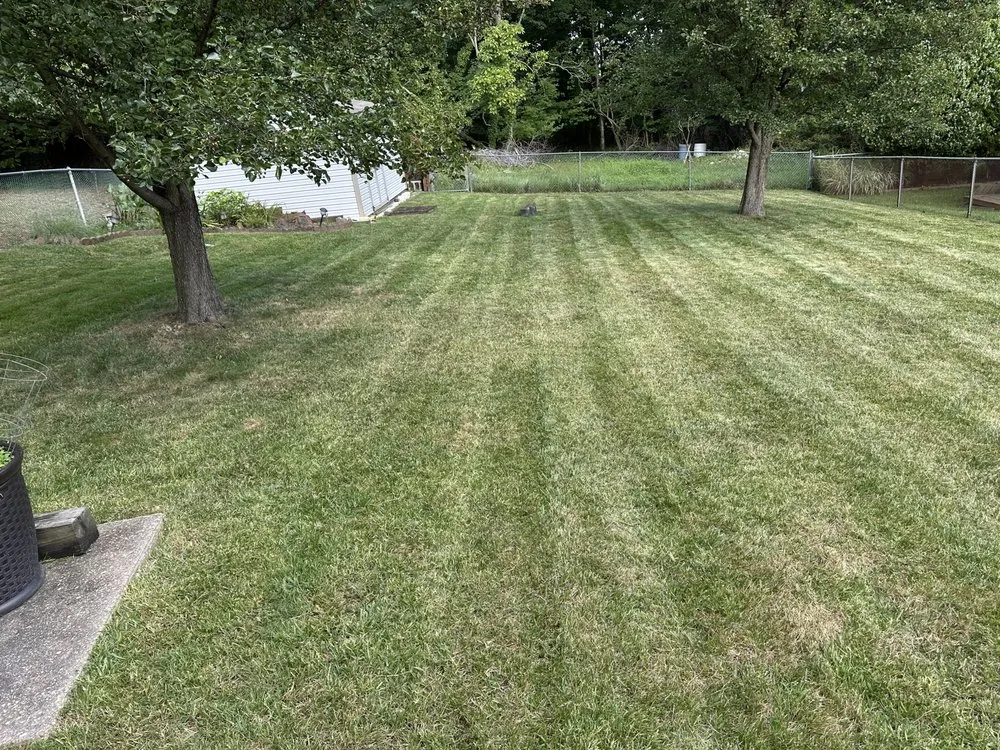 Trusted landscape design in Baltimore, MD by Verde’s Lawncare & Services