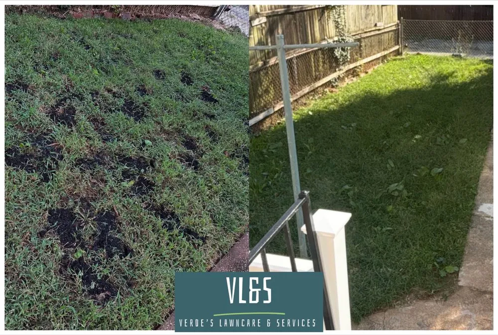 Local landscape design for homes in Baltimore, MD by Verde’s Lawncare & Services