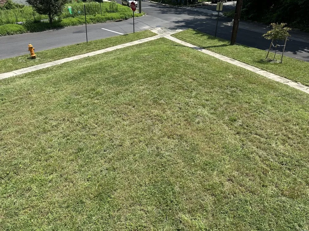 Trusted landscape installation with custom design in Baltimore, MD by Verde’s Lawncare & Services