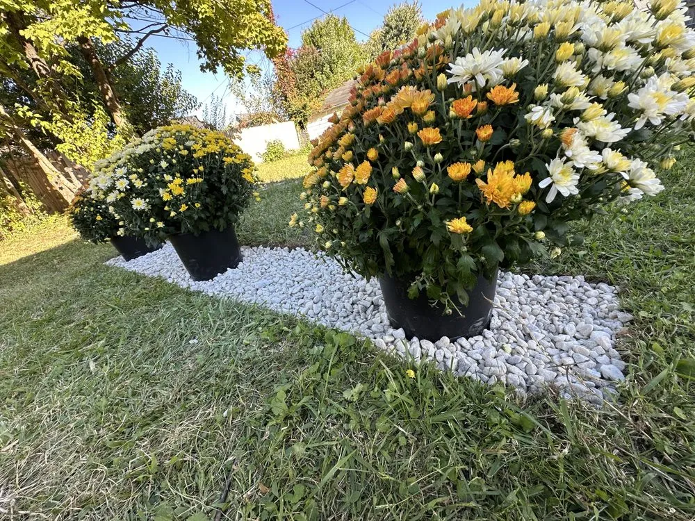 Reliable yard cleanup service for residential properties in Baltimore, MD by Verde’s Lawncare & Services