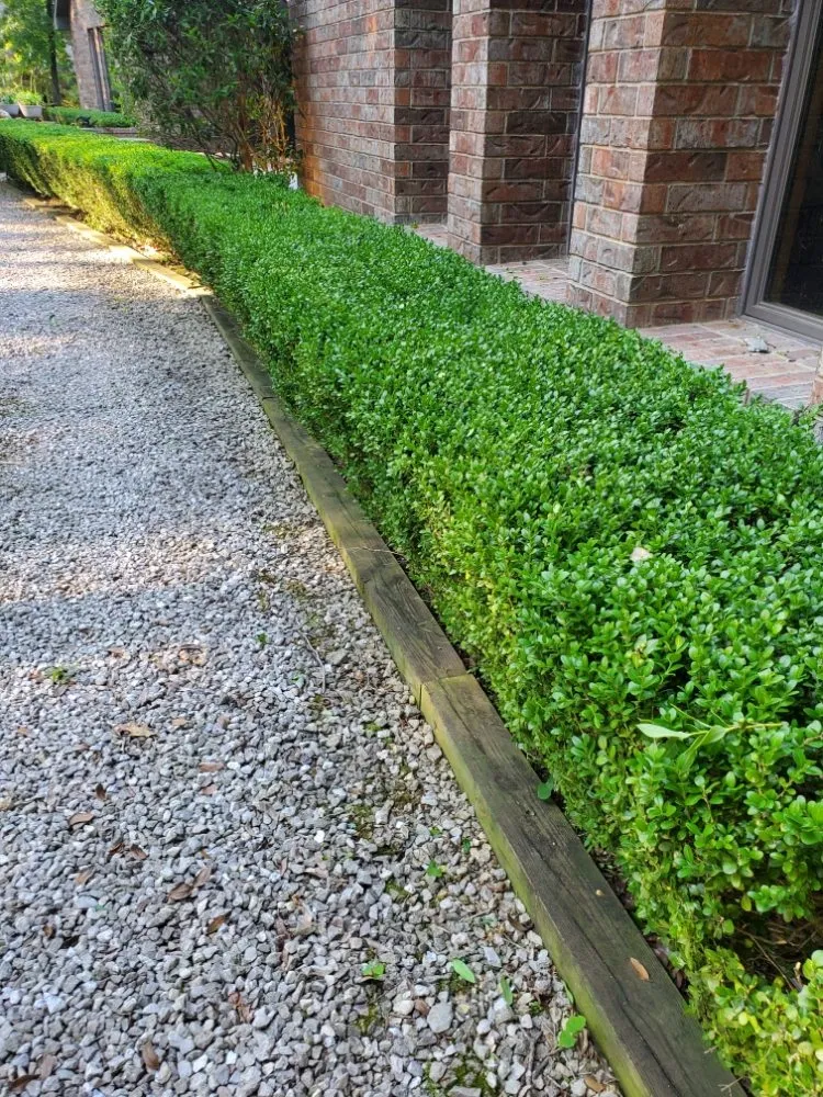 Professional residential landscaping for residential properties in Cassville, MO by Verde's Lcs