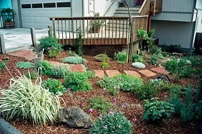 Affordable outdoor landscaping for year-round maintenance in Pacifica, CA by Verdi Landscaping
