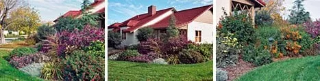 Top-rated garden landscaping for year-round maintenance across Pacifica, CA - Verdi Landscaping