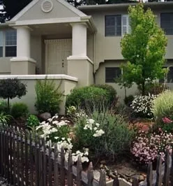 Expert yard cleanup service in Pacifica, CA - Verdi Landscaping