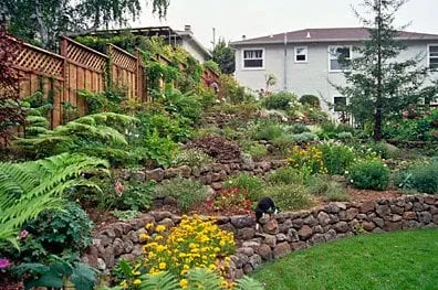 Affordable garden landscaping in Pacifica, CA by Verdi Landscaping