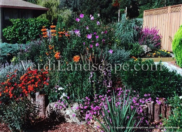 Professional residential landscaping with custom design in Pacifica, CA by Verdi Landscaping