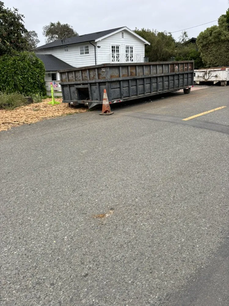 Local yard cleanup service with custom design across Encinitas, CA - Verdiant Maintenance