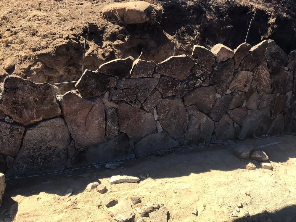 Top-rated yard cleanup service in Encinitas, CA - Verdiant Maintenance