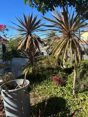 Verdiant Maintenance Logo