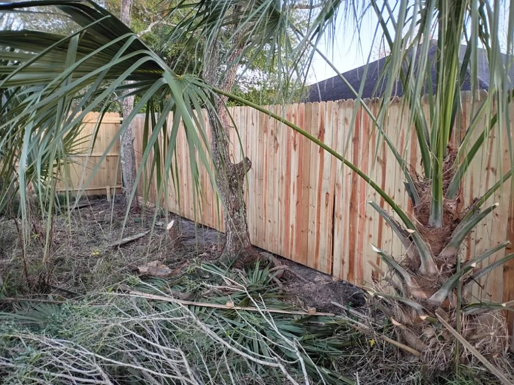 Trusted lawn mowing service experts serving Jacksonville, FL - Verdigo