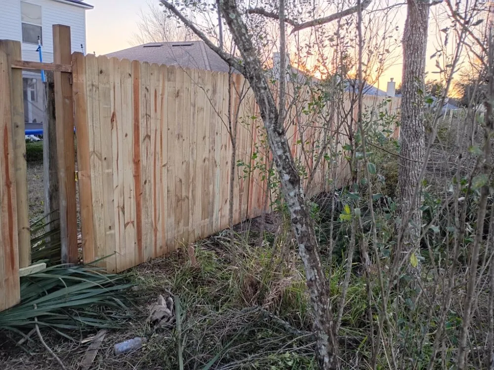 Affordable outdoor landscaping in Jacksonville, FL by Verdigo