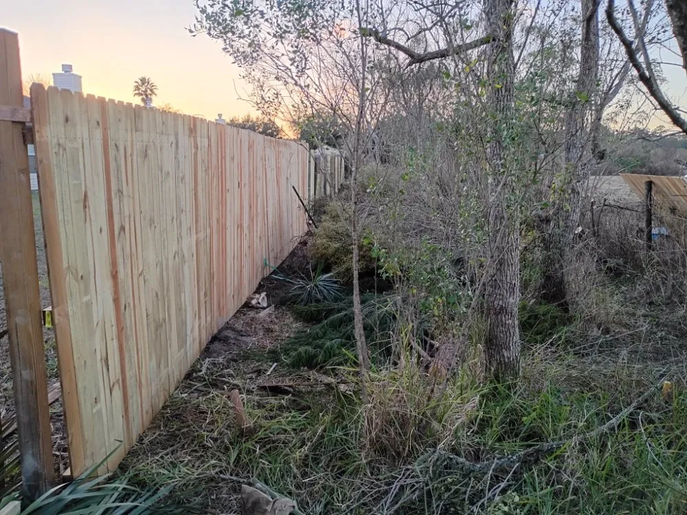 Affordable lawn care service experts serving Jacksonville, FL - Verdigo