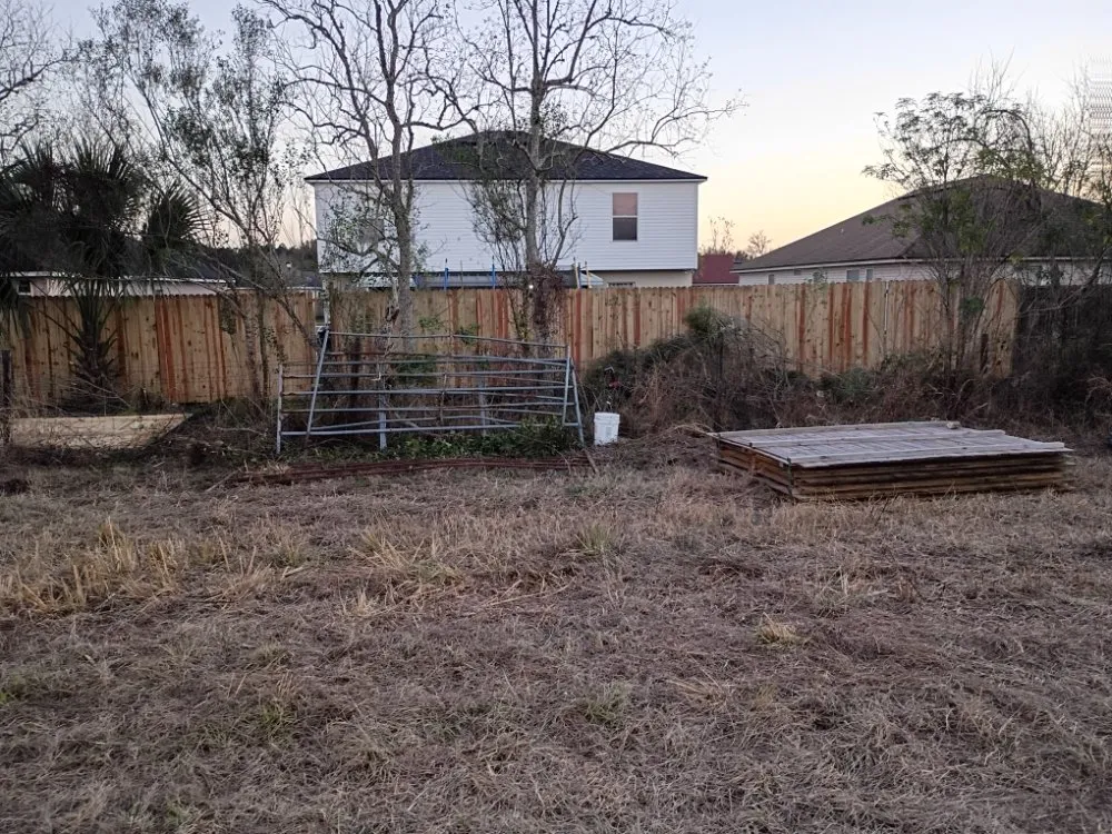 Custom yard cleanup service in Jacksonville, FL by Verdigo