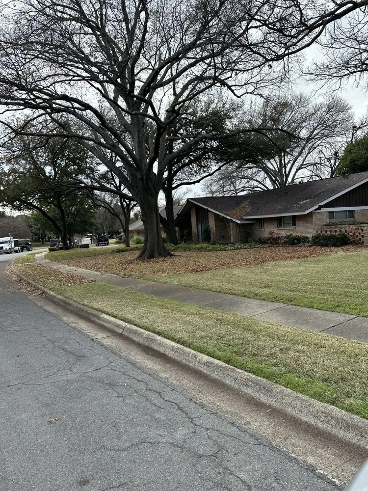 Top-rated landscape design experts serving DeSoto, TX - Verdins Tree & Lawn