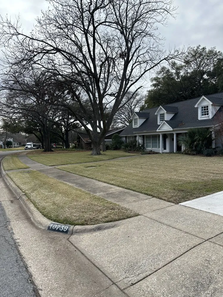 Affordable garden landscaping in DeSoto, TX - Verdins Tree & Lawn