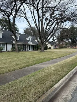 Verdins Tree & Lawn Logo