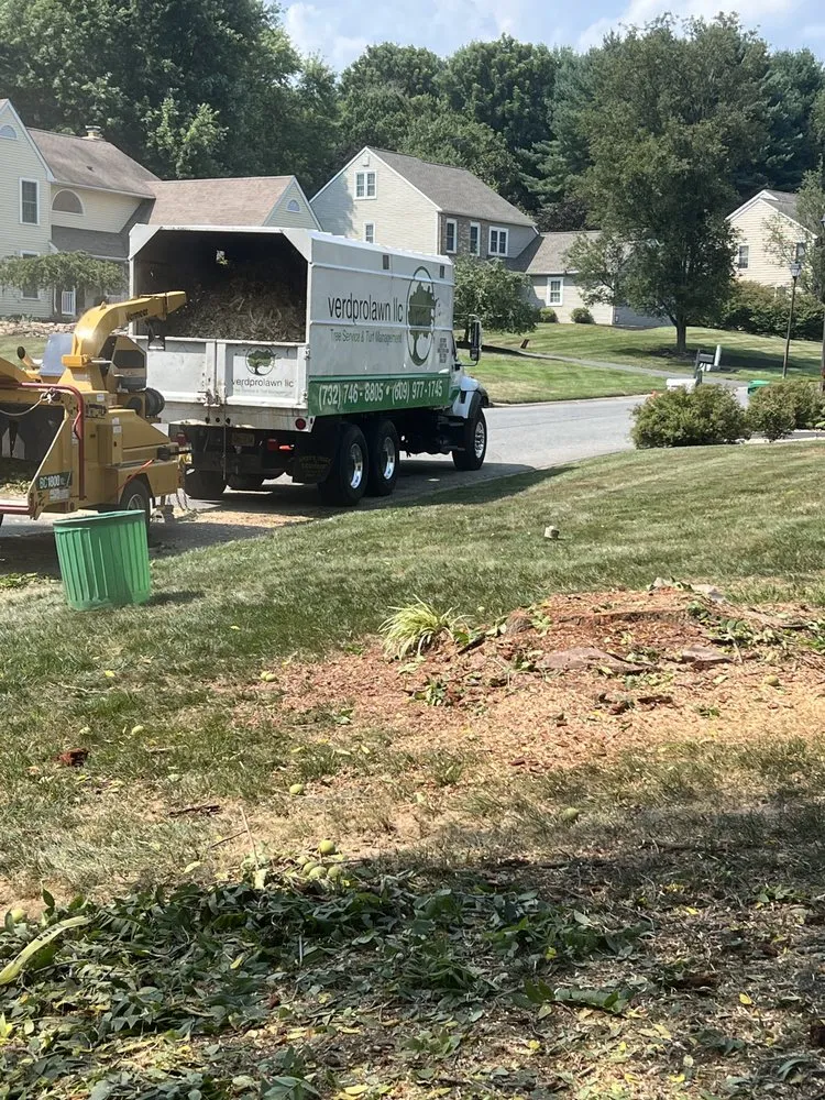 Top-rated garden landscaping for homes across Columbus, NJ - Verdprolawn