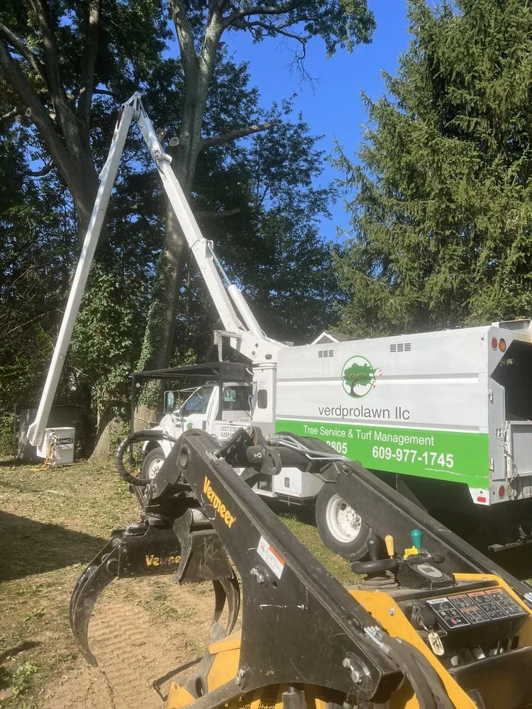 Reliable outdoor landscaping in Columbus, NJ by Verdprolawn