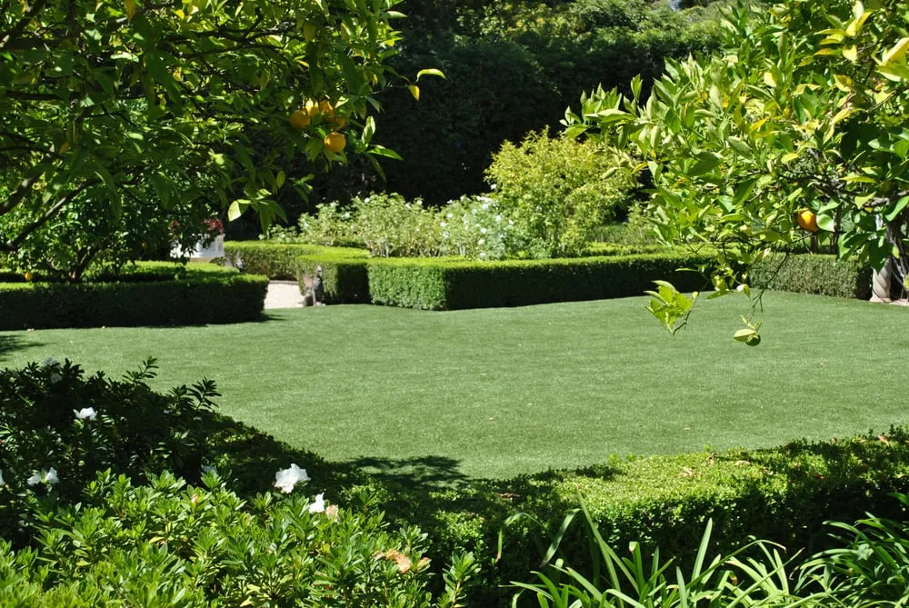 Trusted lawn mowing service experts serving Goleta, CA - Verdure