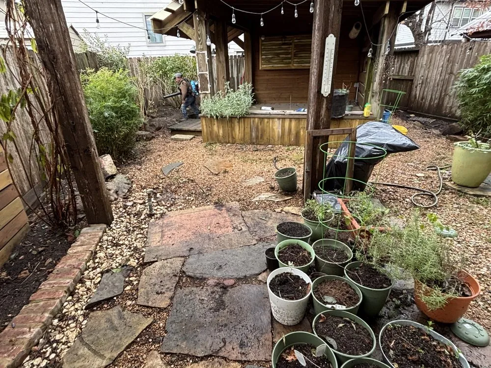 Local landscaping services in Rosharon, TX - Verdure Landscape