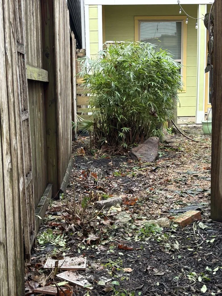 Custom residential landscaping in Rosharon, TX - Verdure Landscape