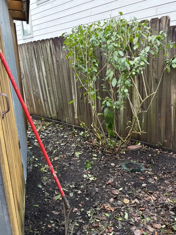 Professional lawn mowing service for residential properties in Rosharon, TX by Verdure Landscape