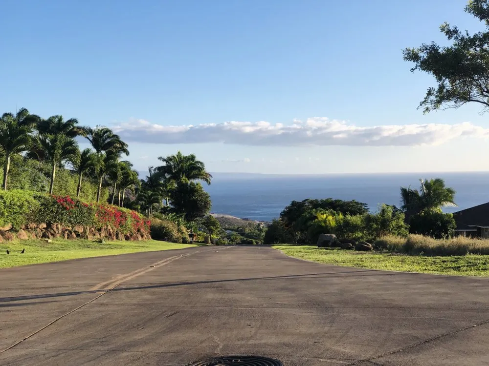 Expert outdoor landscaping with custom design across Kihei, HI - Vergara Landscaping & Services