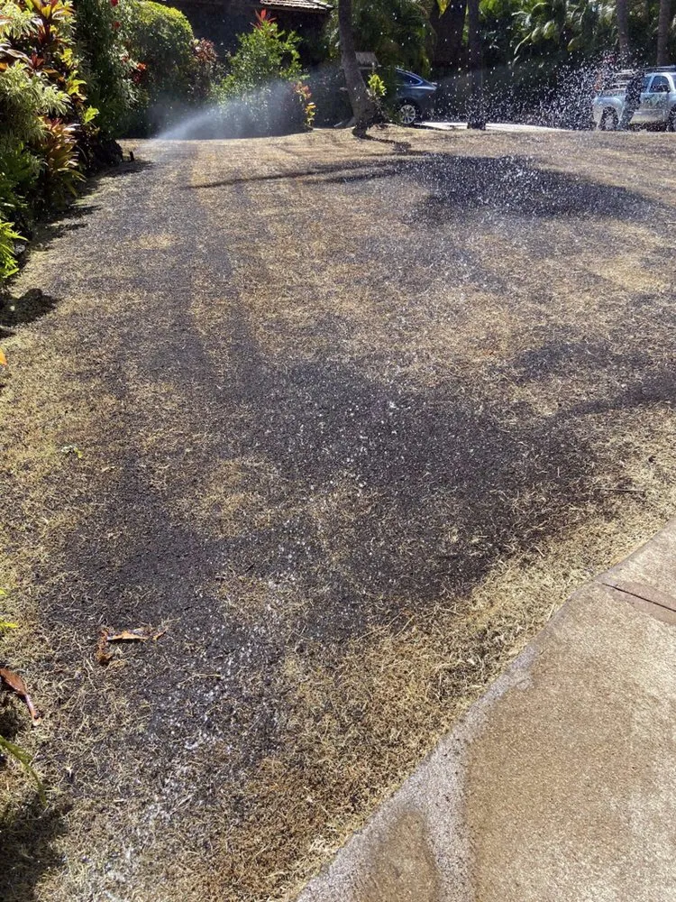 Trusted yard maintenance near you across Kihei, HI - Vergara Landscaping & Services