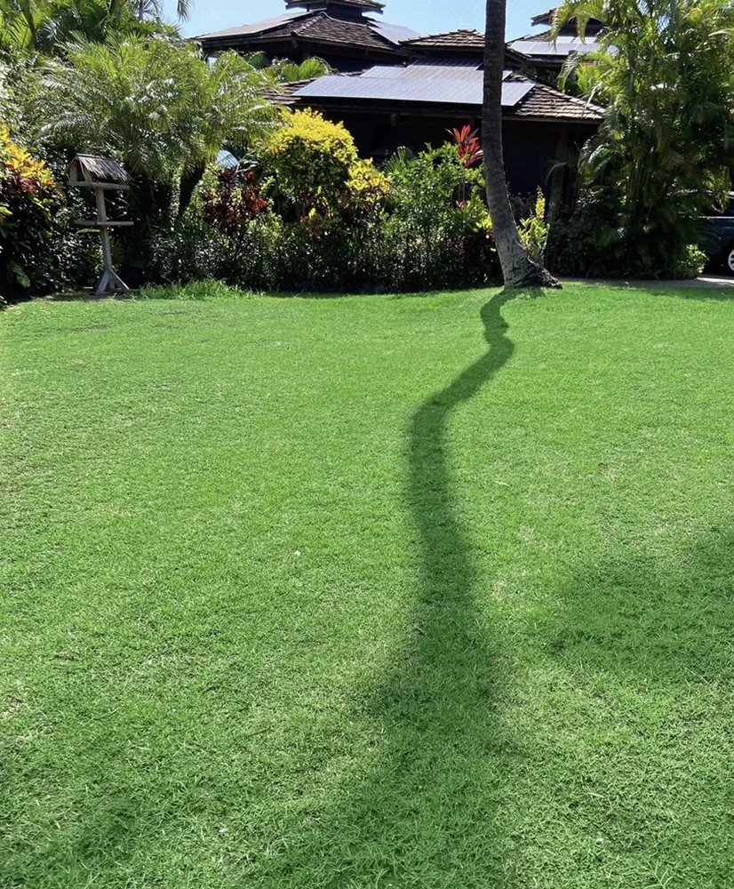 Expert garden landscaping experts serving Kihei, HI - Vergara Landscaping & Services