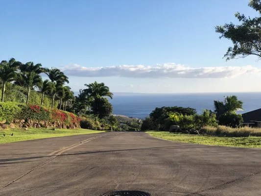 Vergara Landscaping & Services