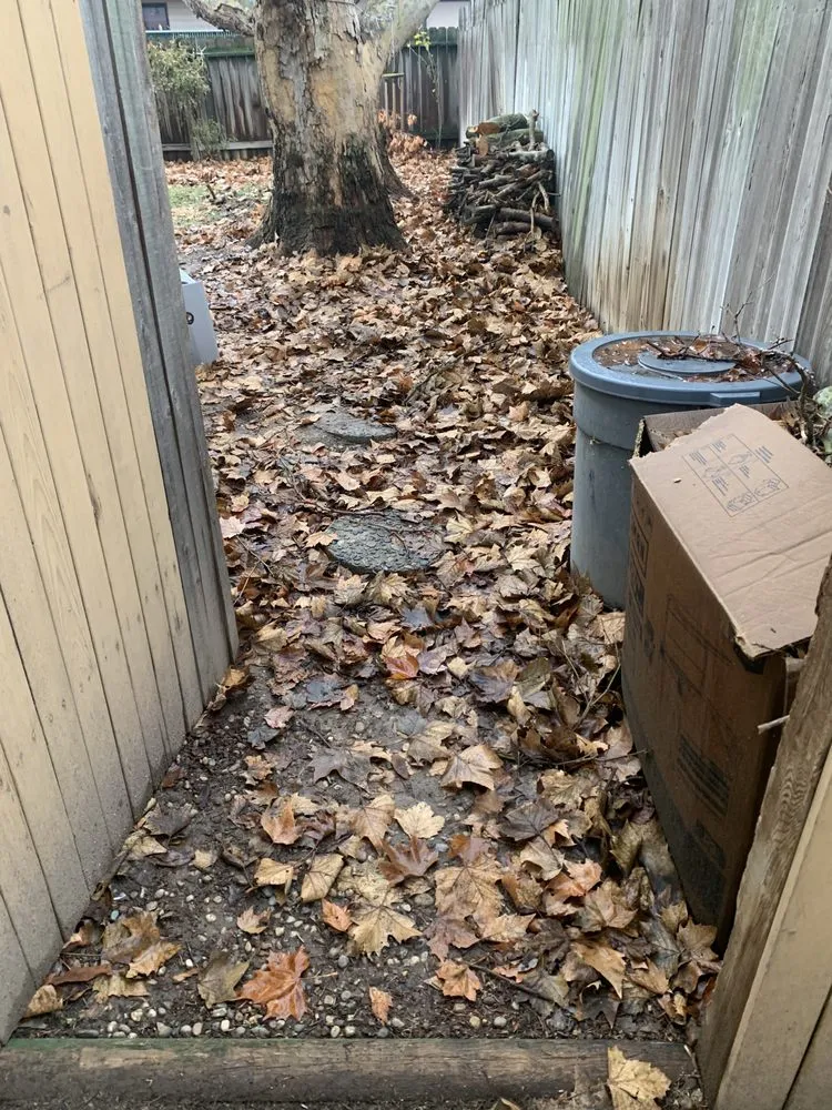 Reliable yard cleanup service for beautiful yards in Nampa, ID by Vergara Landscaping